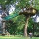 Cabane perchée dans les arbres