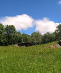 Les bulles d’herbes